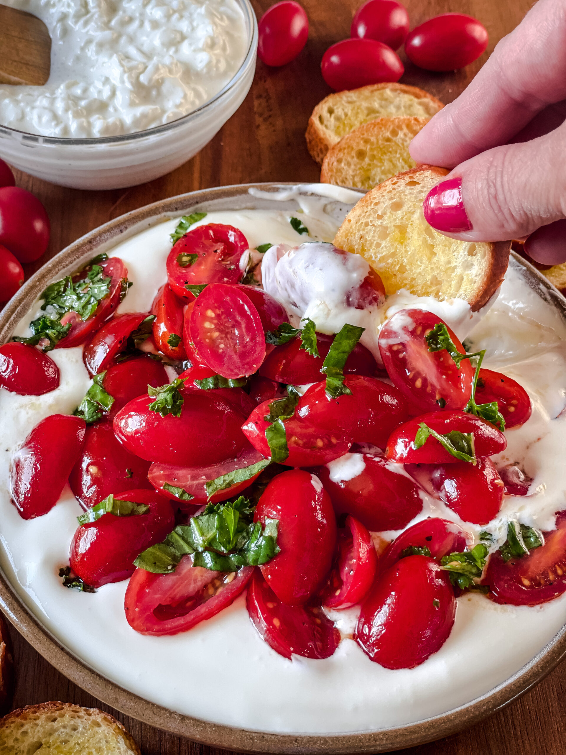 Whipped cottage cheese caprese dip