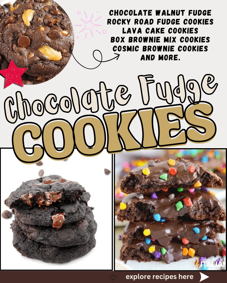 20+ Chocolate Fudge cookies