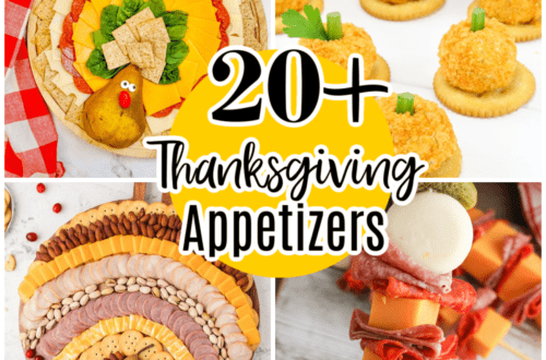 20+ Thanksgiving Appetizers